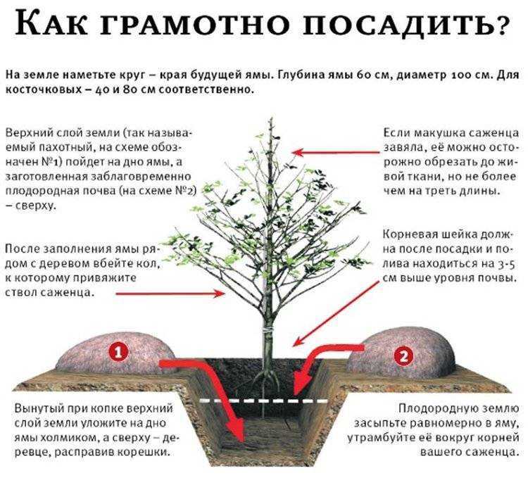 Что вы гуглили в сентябре: посадки, сливы, взломы