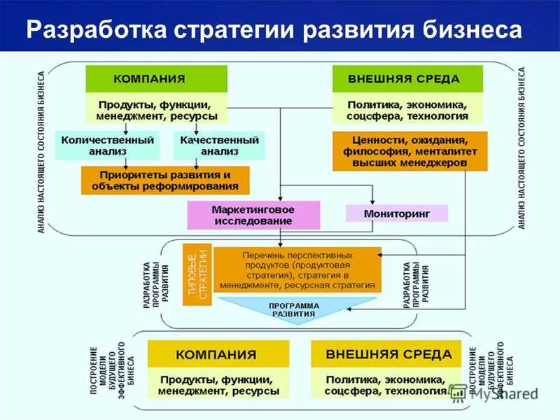 Выбор целевой аудитории и анализ рынка