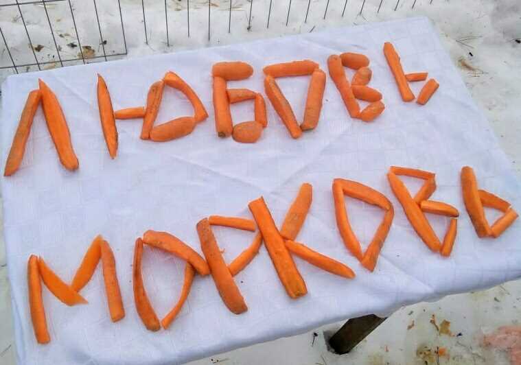 «Любовь-Морковь» - душевный SMM