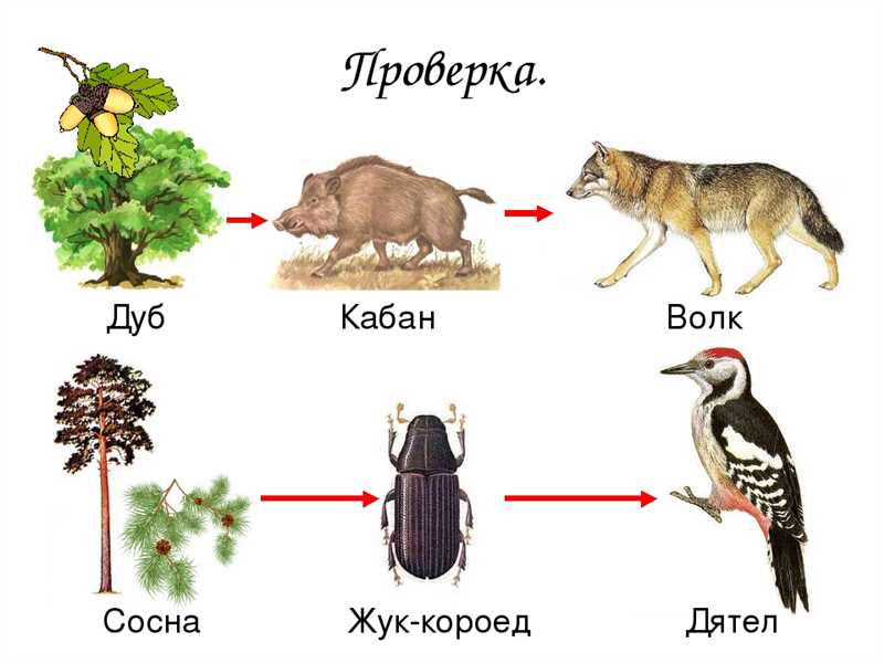 «Так» не «сойдет»: почему креативные фрилансеры – внизу пищевой цепочки